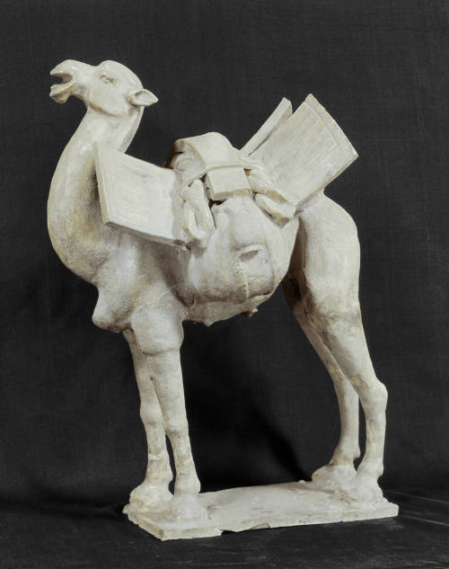 Camel with pack