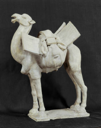 Camel with pack