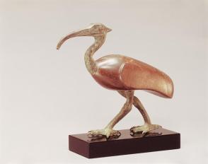 Ibis, Incarnation of the God Thoth