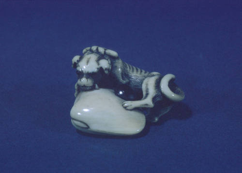 Dog Held Captive by a Clam