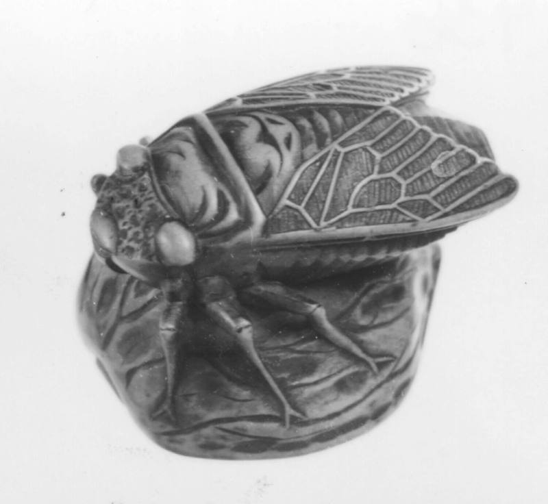 Cicada on Half Walnut Shell