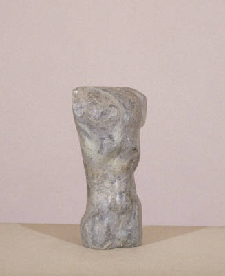 Male Torso