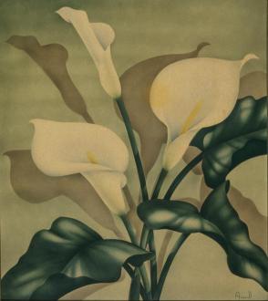 Calla Lilies