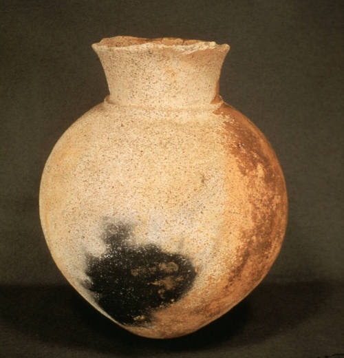 Prehistoric vessel