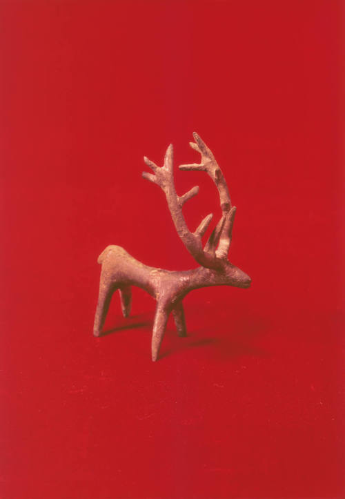 Stag