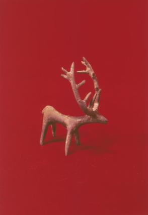 Stag