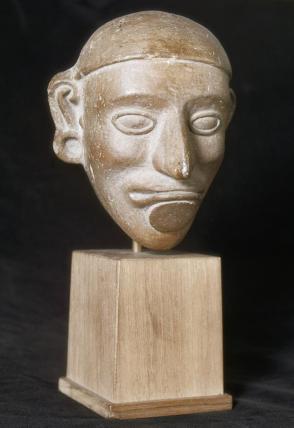 Male head with lip plug