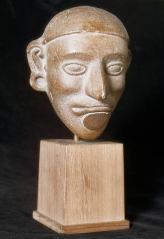 Male head with lip plug
