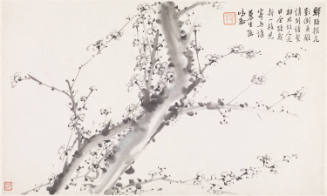 Photo: Elizabeth Mann