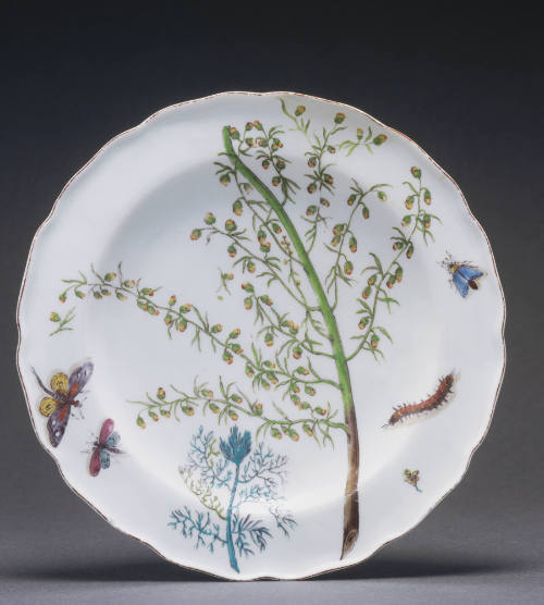 Plate