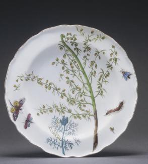 Plate