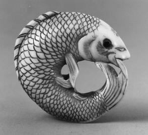 Coiled Fish
