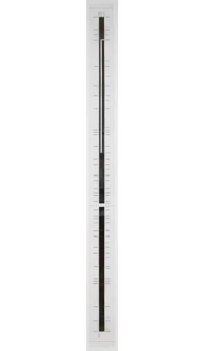 Measure 123