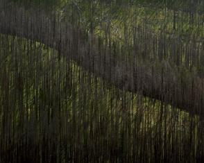 Sherman Pass, WA, August 13, 1993