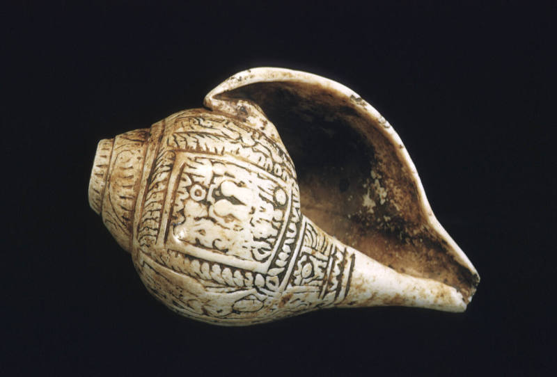 Vishnu Conch