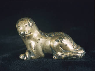 Dog, a spaniel