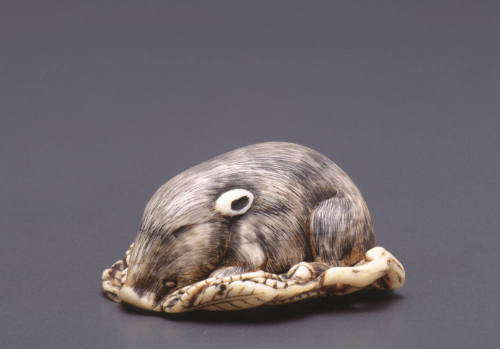 Netsuke modelled as a sleeping boar