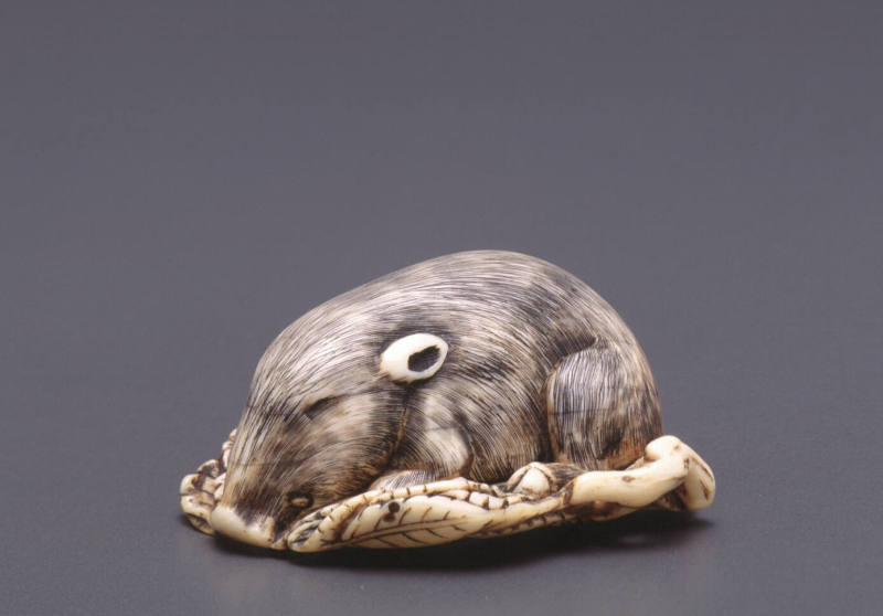 Netsuke modelled as a sleeping boar