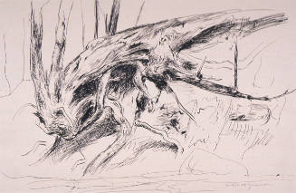 Gnarled Roots