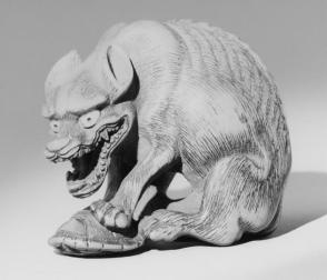 Wolf with forepaws on a tortoise