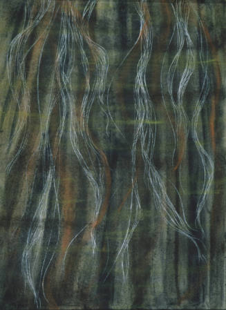 Winding Forest