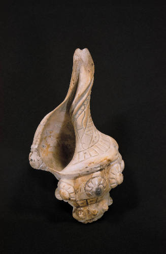 Conch