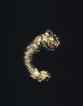 Lion heads earring