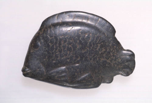 Nile Perch