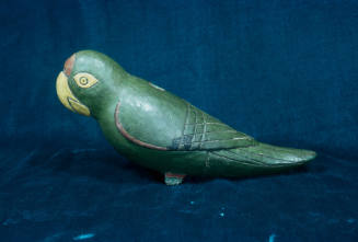 Parrots