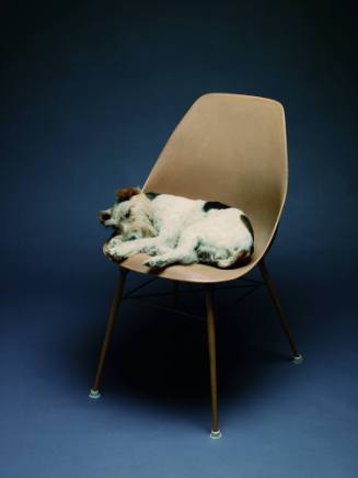 Photo: Susan A. Cole