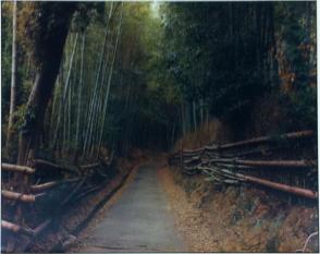 In the Northwestern Hills, Kyoto, Japan