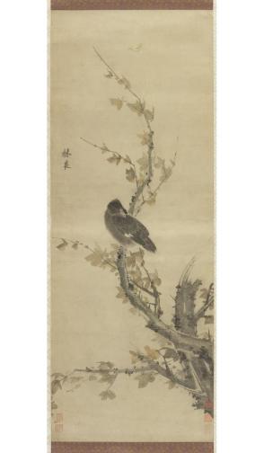 Bird Perched on a Branch