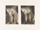 Photo: Elizabeth Mann