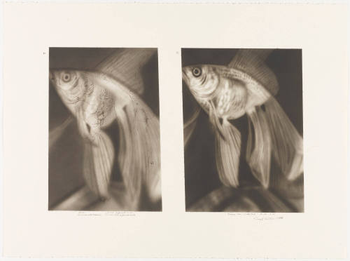 Photo: Elizabeth Mann