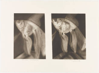 Photo: Elizabeth Mann
