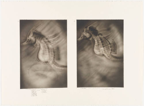 Photo: Elizabeth Mann
