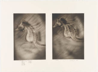 Photo: Elizabeth Mann