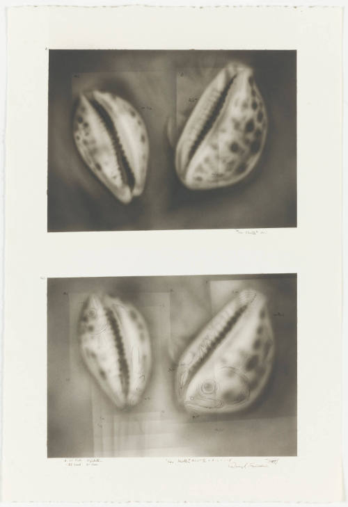 Photo: Elizabeth Mann