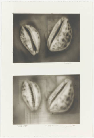 Photo: Elizabeth Mann