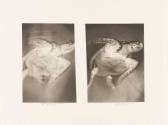 Photo: Elizabeth Mann