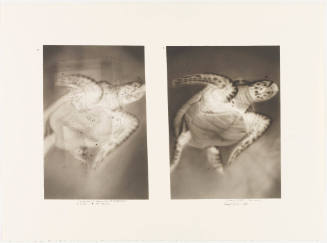 Photo: Elizabeth Mann