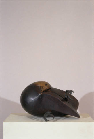 Dead Bird