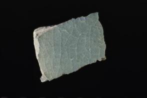 Ceramic sherd