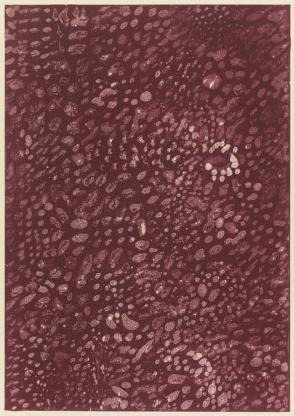 Untitled -- Proof #2 (Pebbles)