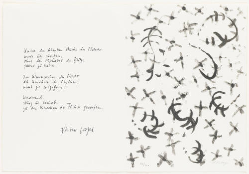 Photo: Elizabeth Mann