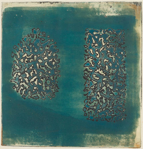 Photo: Elizabeth Mann