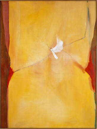 Venus Revealed