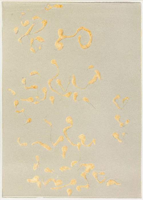 Photo: Elizabeth Mann