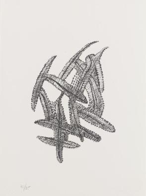 Untitled (Feathers-Black)