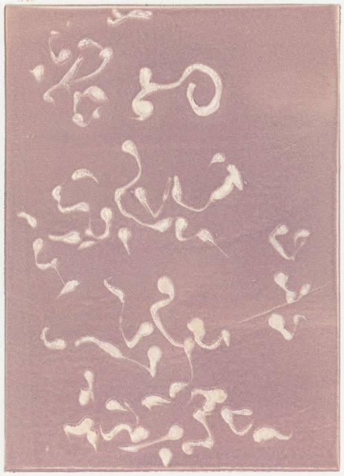 Photo: Elizabeth Mann